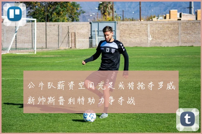 公牛队薪资空间充足或将抢夺罗威新帅斯普利特助力争夺战